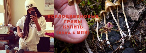не бодяженный Балахна