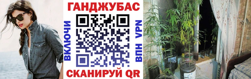 Канабис гибрид  как найти   OMG ссылка  Верхняя Пышма 